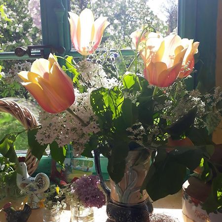 Chez Cathy Bed & Breakfast Arzier Ngoại thất bức ảnh
